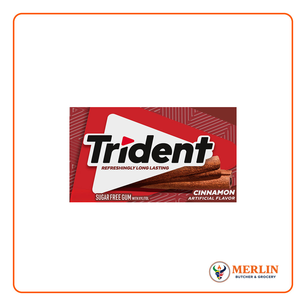 CINAMMON GUM TRIDENT