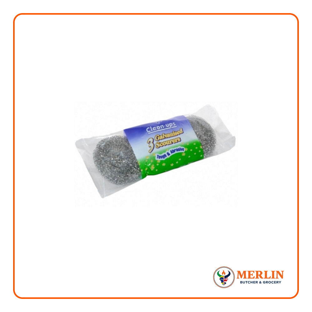 CLEAN UPS 3 GALVANISED SCOURERS